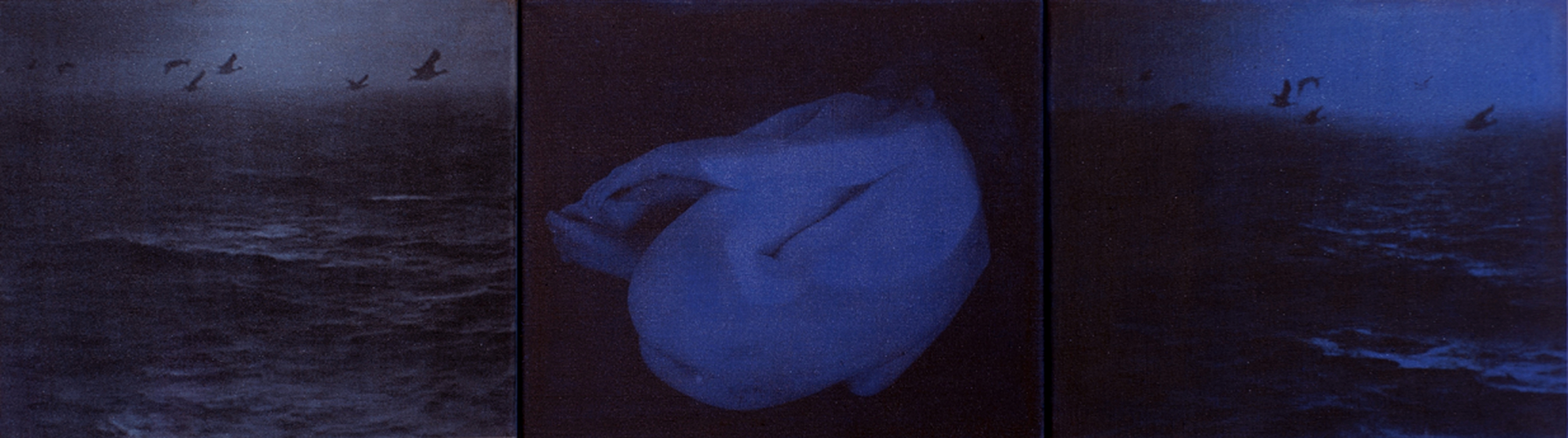 36_67x44