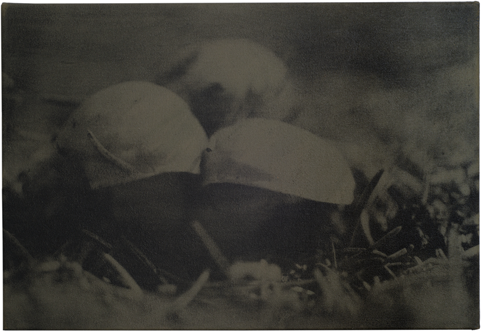 45_60x45