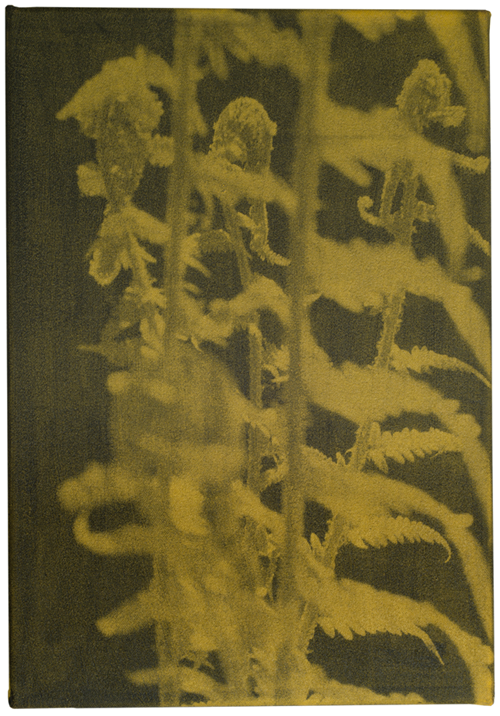 50_52x36