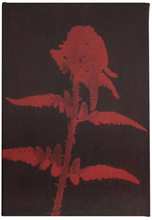 51_52x36